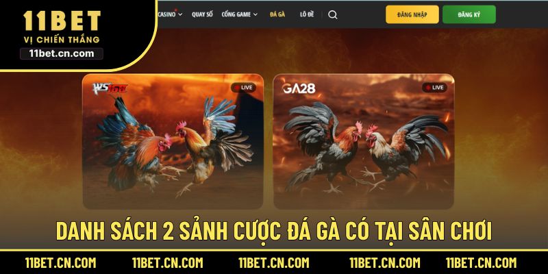 Chia sẻ 2 sảnh chơi Đá Gà 11BET