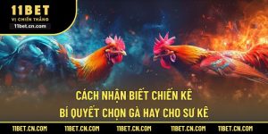 Cách nhận biết chiến kê
