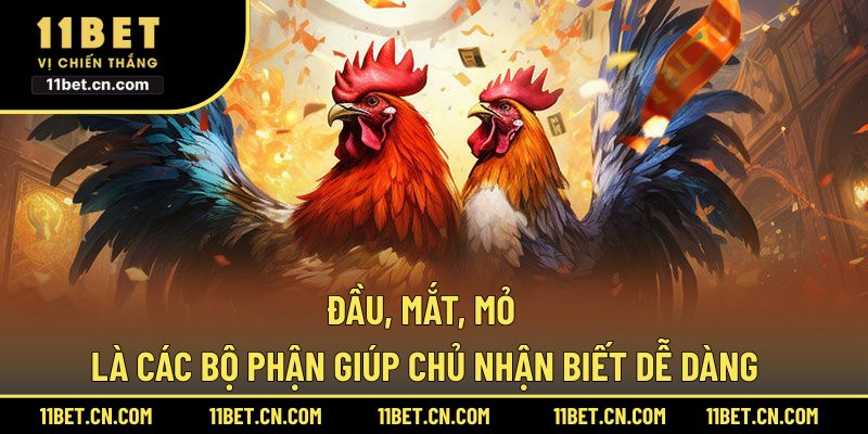 Đầu, mắt, mỏ là các bộ phận giúp chủ nhận biết dễ dàng