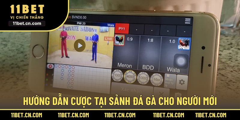 Chia sẻ các bước cá cược tại sảnh Đá Gà
