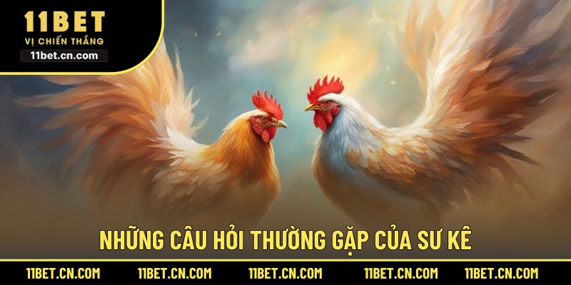 Những câu hỏi thường gặp của sư kê