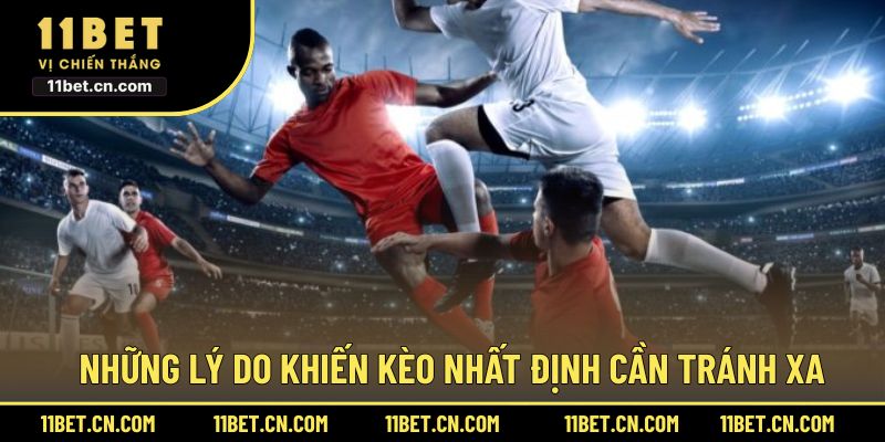 Những lý do khiến kèo nhất định cần tránh xa
