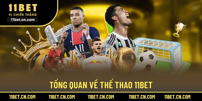 Sơ lược về Thể Thao 11BET