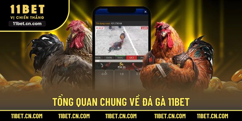 Giới thiệu sơ lược về Đá Gà 11BET